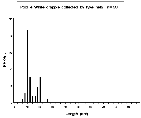 White crappie collected by fyke netting