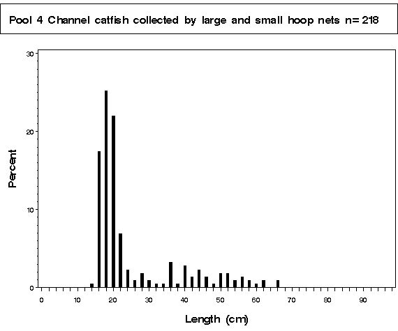 Pool 26 Channel catfish collected by hoop netting