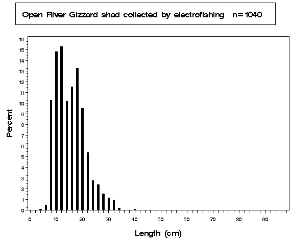 Open River Gizzard shad collected by electrofishing