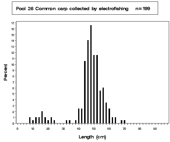 Pool 26 Common carp collected by electrofishing