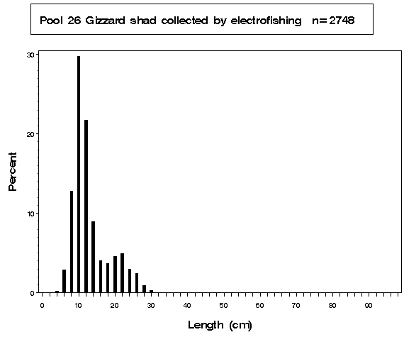 Pool 26 Gizzard shad collected by electrofishing
