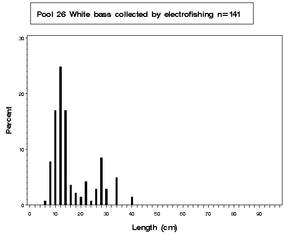 Pool 26 White bass collected by electrofishing