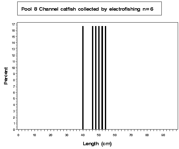 Pool 8 Channel catfish collected by electrofishing
