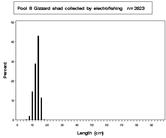 Pool 8 Gizzard shad collected by electrofishing