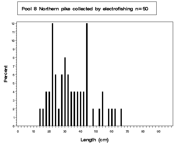 Pool 8 Northern pike collected by electrofishing