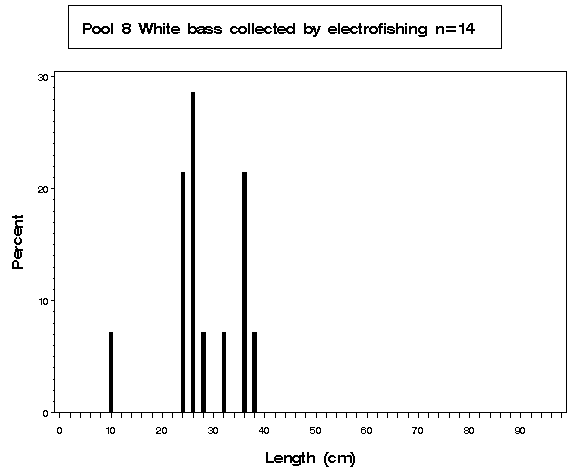 Pool 8 White bass collected by electrofishing