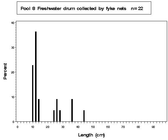 Open River Freshwater drum collected by fyke netting