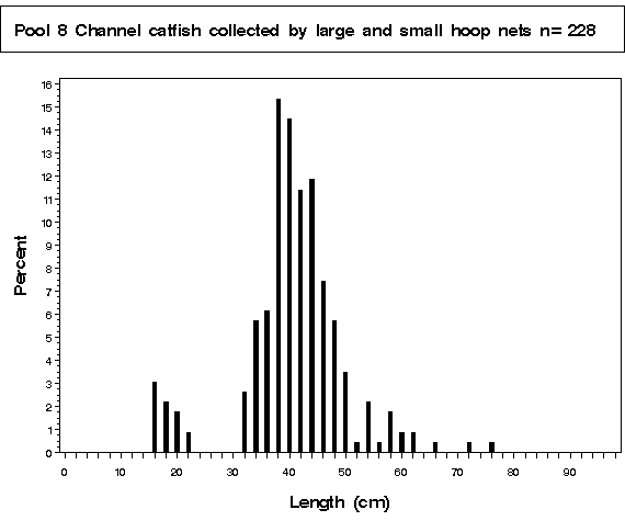 Open River Channel catfish collected by hoop netting