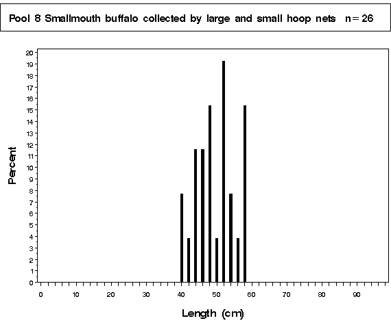 Open River Smallmouth buffalo collected by hoop netting