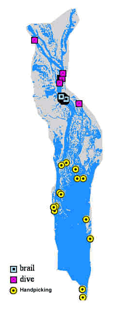 Mayfly abundances in Lake Pepin, Pool 4 of the Upper Mississippi River System (1992–2002).