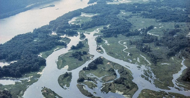 Black River Delta