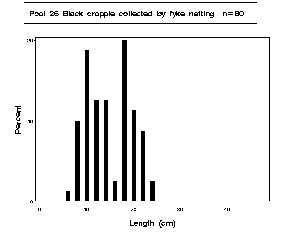 Black crappie collected by fyke netting