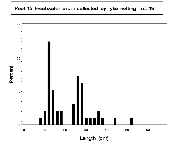 Pool 13 Freshwater drum collected by fyke netting