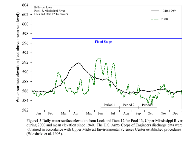 Pool 13 Hydrograph