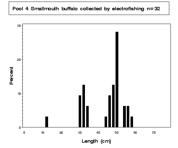 Smallmouth buffalo collected by electrofishing