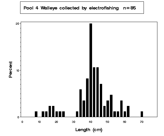 Walleye collected by electrofishing