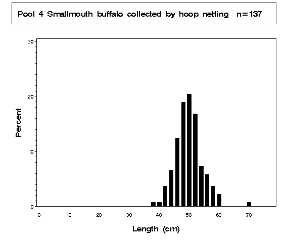 Smallmouth buffalo collected by hoop netting