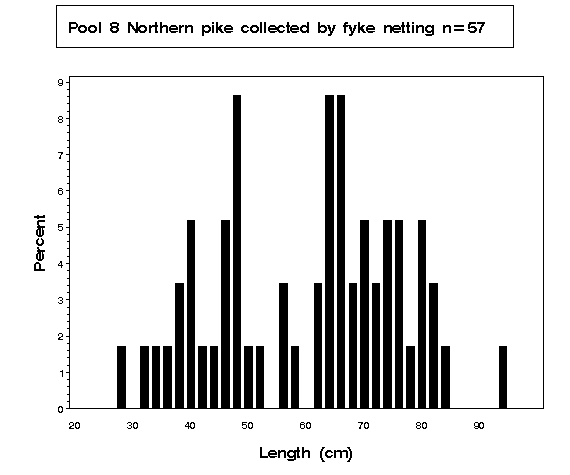 Pool 8 Northern pike collected by fyke netting 