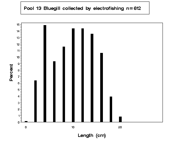 Bluegill collected by electrofishing