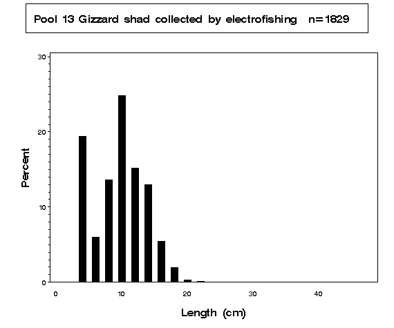 Gizzard shad collected by electrofishing