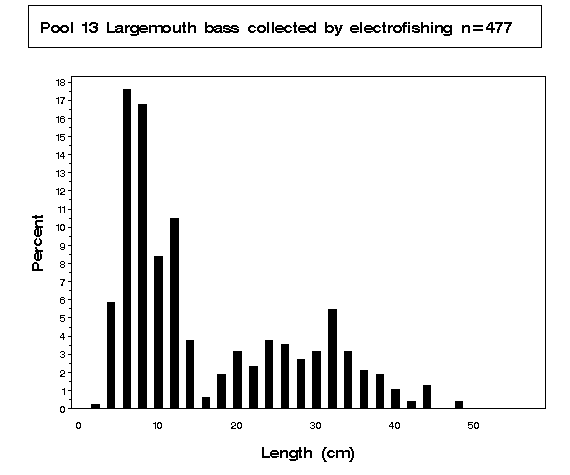 Largemouth bass collected by electrofishing