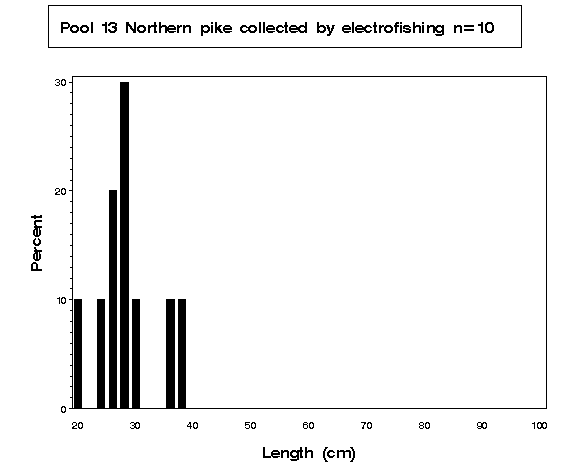 Northern pike collected by electrofishing