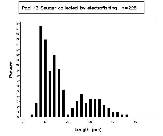 Sauger collected by electrofishing