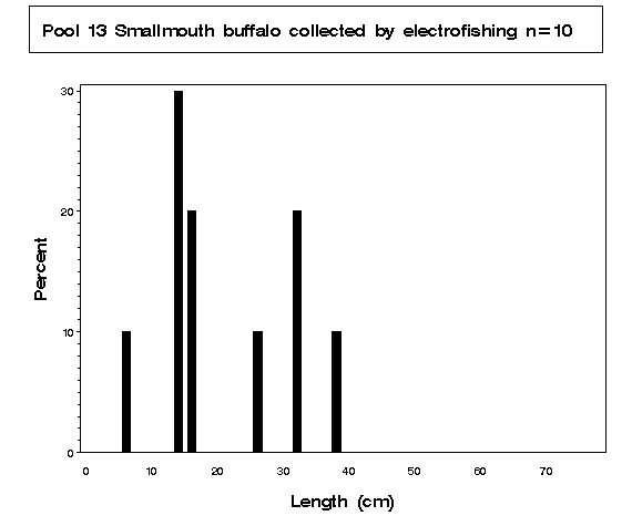Pool 13 Smallmouth buffalo collected by electrofishing
