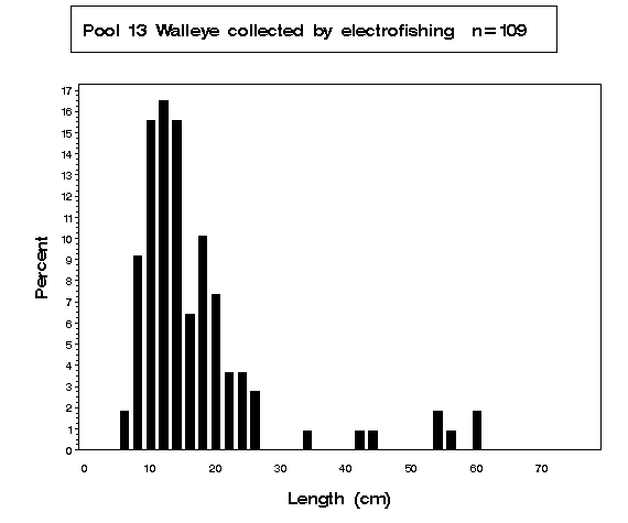 Walleye collected by electrofishing