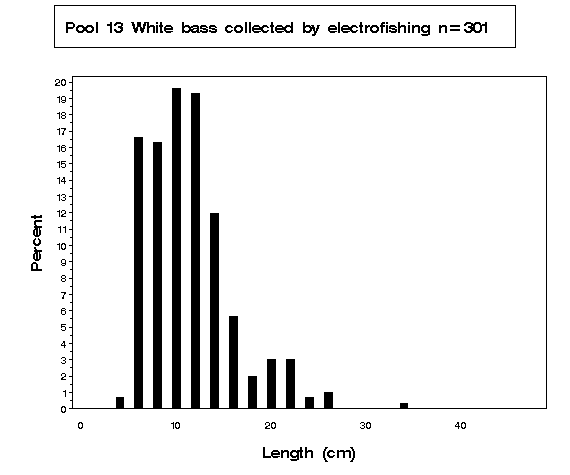 White bass collected by electrofishing