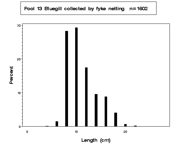 Bluegill collected by fyke netting