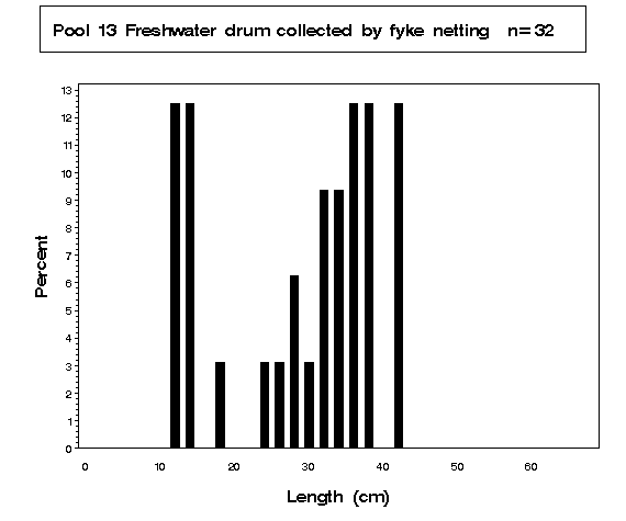 Freshwater drum collected by fyke netting