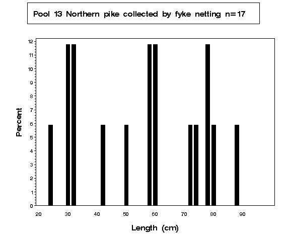 Northern pike collected by fyke netting