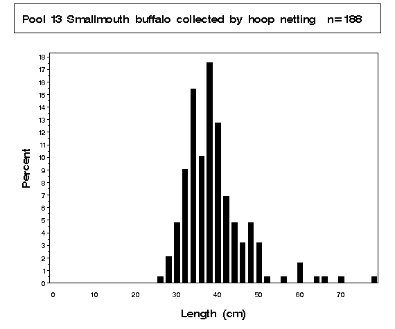 Smallmouth buffalo collected by hoop netting