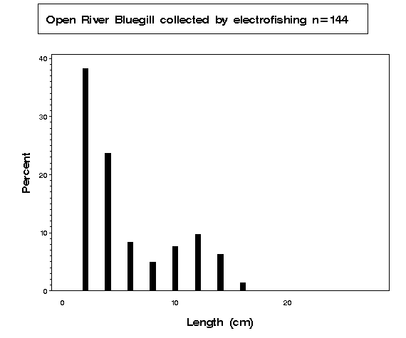 Open River Bluegill collected by electrofishing