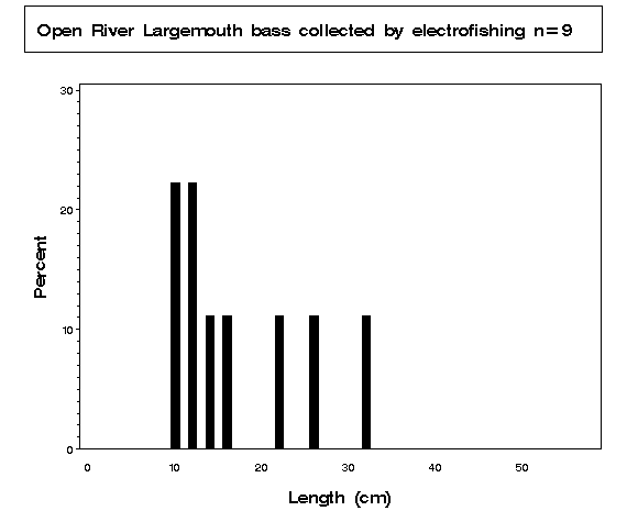 Largemouth bass collected by electrofishing