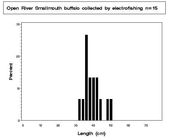 Smallmouth buffalo collected by electrofishing