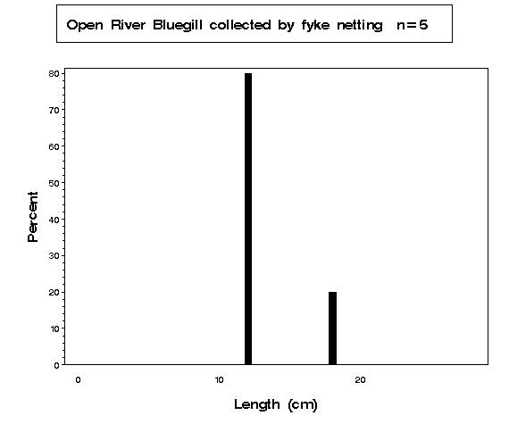 Bluegill collected by fyke netting