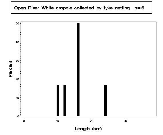 White crappie collected by fyke netting