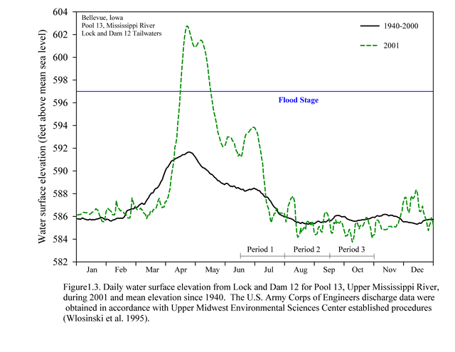 2001 Hydrograph for Pool 13