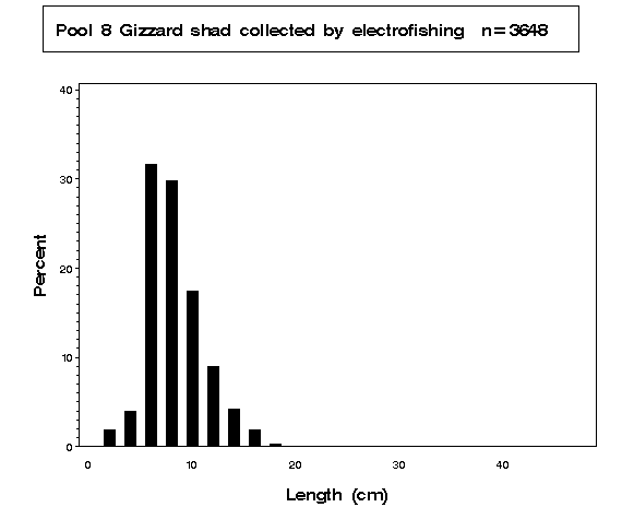 Gizzard shad collected by electrofishing