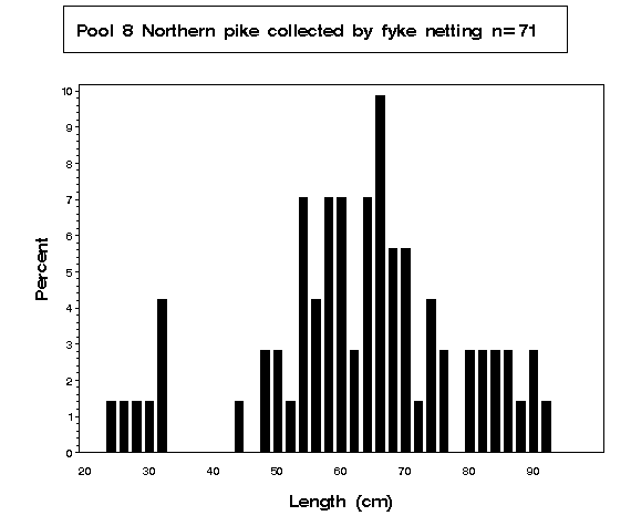Pool 8 Northern pike collected by fyke netting 