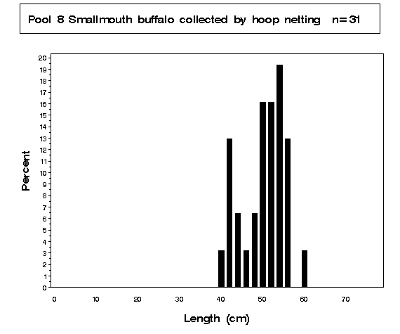 Smallmouth buffalo collected by hoop netting