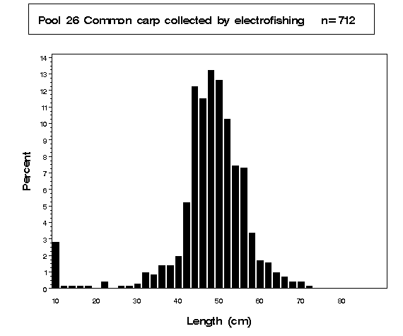 Pool 26 Common carp collected by electrofishing