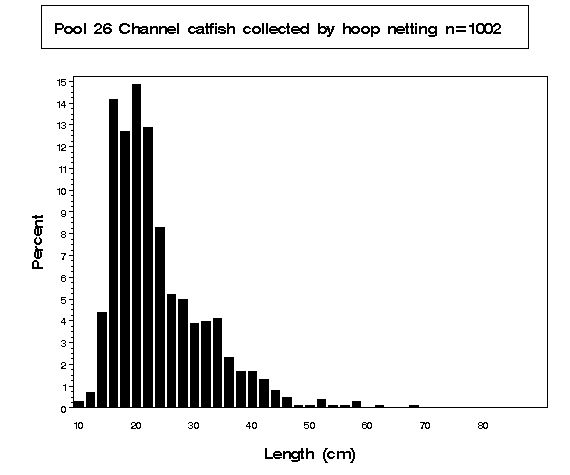 Pool 26 Channel catfish collected by hoop netting