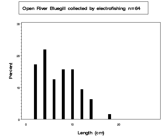 Bluegill collected by electrofishing