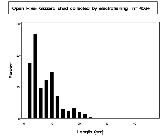 Gizzard shad collected by electrofishing