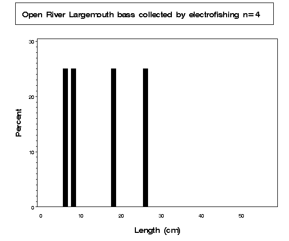 Largemouth bass collected by electrofishing