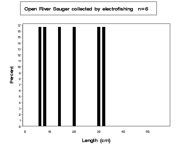 Sauger collected by electrofishing