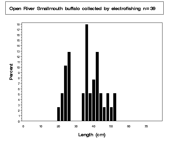 Smallmouth buffalo collected by electrofishing